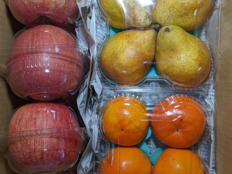 柿、ふじりんご、シルバーベル