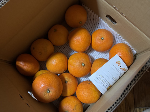 【訳あり】そらまどんな 天空の果樹園 愛媛産まどんな 3kg