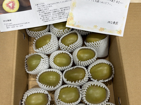 【極甘！】 キウイフルーツ紅妃 中心が紅い珍品種！