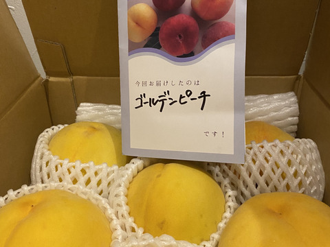 そろそろ終わり！昨年大好評‼️【まるでマンゴー!?】ゴールデンピーチ!!３kg