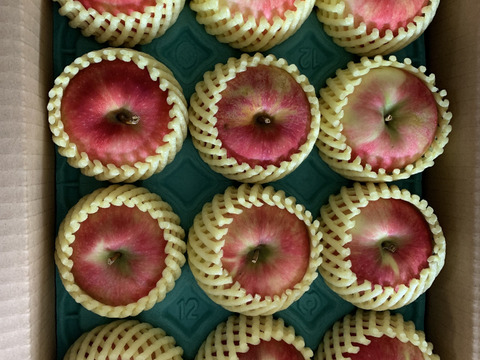 🍎幻の夏りんご🍎夏あかり 3キロ箱 小玉品種〜18玉 商品ID40928 長野県 信州 安曇野 リンゴ 幻 幻のリンゴ 予約 希少 旬