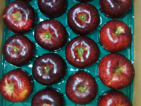 りんご 訳あり🍎秋映🍎 長野県オリジナル品種 三兄弟の長男 5kg 中玉