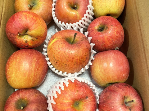 信州りんご🍎４キロパック詰め