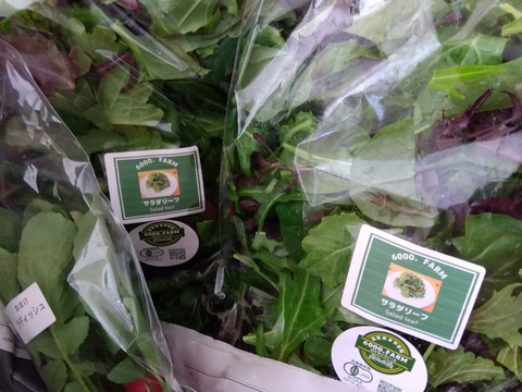 【飲食店御用達】有機JAS認証サラダリーフMix　1kg