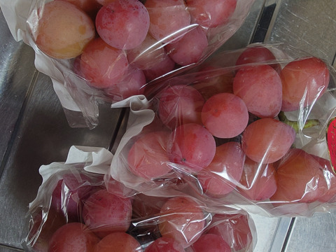 令和7年10月上旬から発送開始【特別栽培農産物】☆種無し☆クイーンニーナ（2kg）