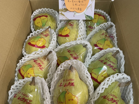 今が旬！高級洋梨 ル・レクチェ（約3kg 11個入り）【冬ギフト】