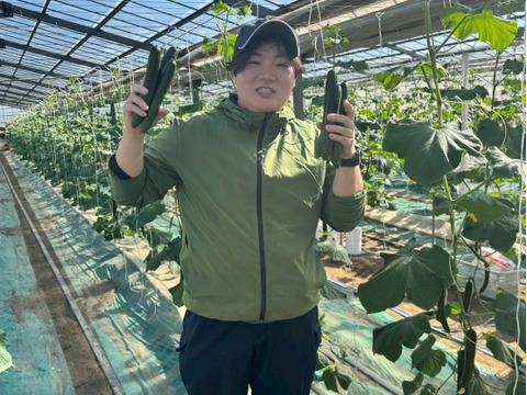 【味や実入りはA級品】きゅうり社長の朝どれ新鮮きゅうり！埼玉本庄産／不揃い訳あり／常温配送3㎏（15〜20本）