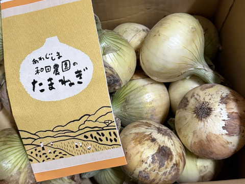 トロあま七宝！淡路島新玉ねぎ 5kgM〜LL：兵庫県産のその他