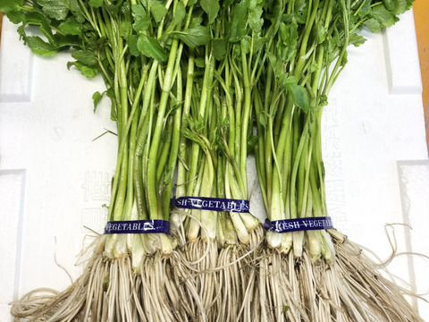 年末【予約用】約1000g 三関産せり せり　三関セリ　年末予約