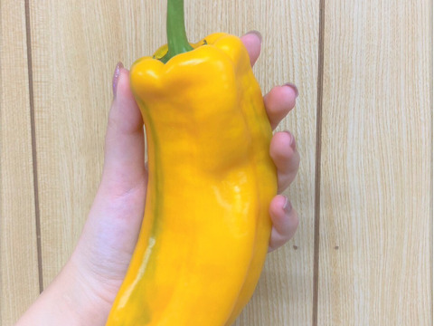 【数量限定】イタリアンパプリカ　パレルモ黄色　3～5本