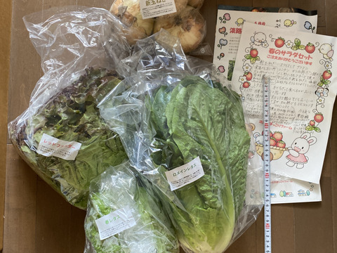 【淡路島より春をお届け】春のサラダセット