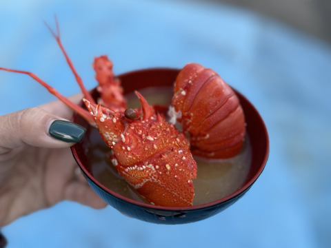 天然物！　熱海産　伊勢海老2キロ