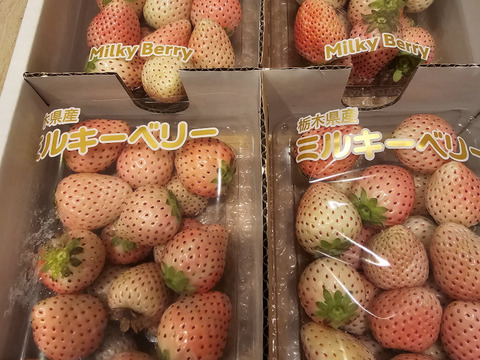 『ミルキーベリー』フレーズのこだわりいちご260×4パック