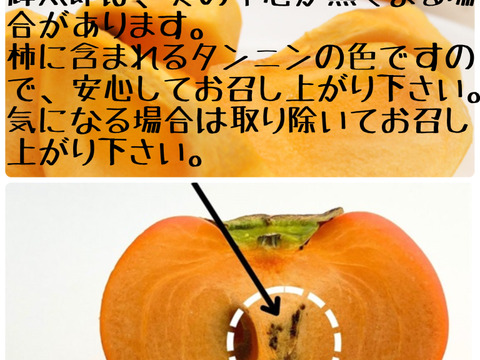 輝太郎（家庭用）14個〜18個