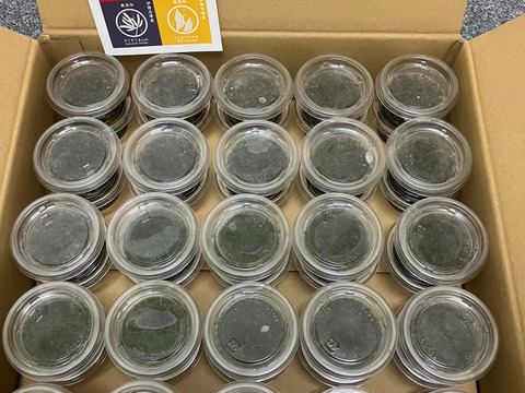 毎日あかもく！ネバシャキ！【産地直送】きざみあかもく20ｇ小分けパック50個　 伊勢志摩産　鳥羽市の離島・菅島沿岸で収穫！　人気のおみやげ　鳥羽のお土産28選　NIPPONFOODSHIFT入賞商品