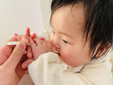 赤ちゃん専用 我が子が大好きな春の離乳食野菜5選 60サイズ 神奈川県産 食べチョク 農家 漁師の産直ネット通販 旬の食材を生産者直送 赤ちゃん専用 我が子が大好きな春の離乳食野菜5選 60サイズ 神奈川県産 食べチョク 農家 漁師の産直ネット通販 旬の食材を生産者直送