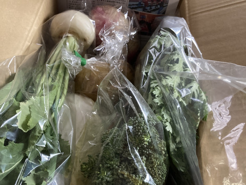 Sサイズ ＊旬野菜セット(約6~7品)【農薬：栽培期間中不使用】