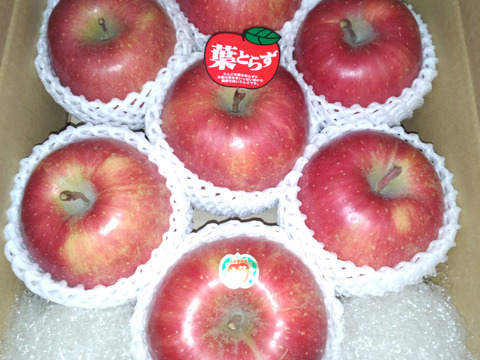 発送開始！完熟葉とらずサンふじ🍎約3kg