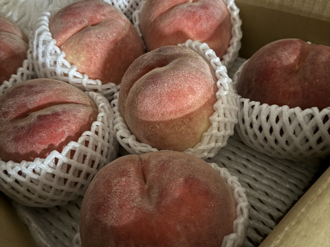 昨年3500件発送うまいっ！【川中島白桃！！】3kg(約6-11玉）【夏ギフト】