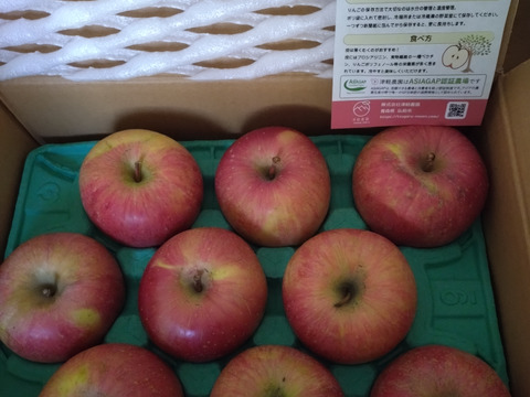 【栄養満点】 葉とらずふじ　3㎏　8～12玉　青森りんご　農家直送