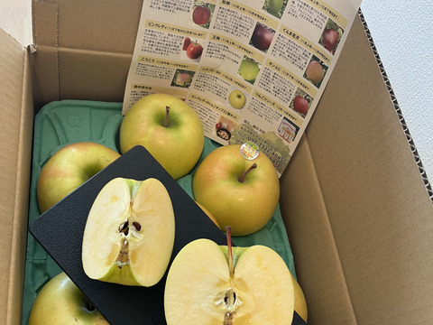 青森県産りんご　希少品種　こうこう　6個～12個　家庭用