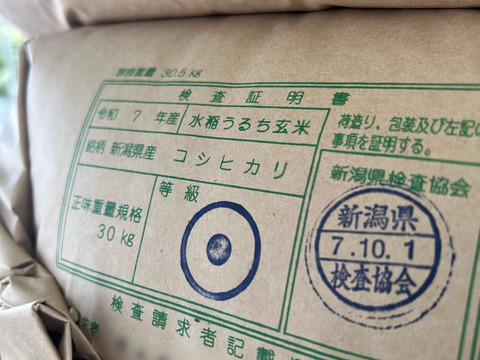 令和7年産【一等米】新潟県産従来品種コシヒカリ10kg