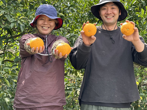 丸ごと生しぼり！〖農薬不使用〗みかんジュースと八朔ジュース無添加100％720ml各1本計2本