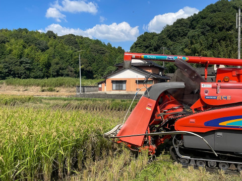 【令和7年新米】つやつや❗️もっちもち‼️福岡のお米 新米夢つくし（2kg)