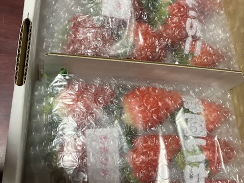 2Pいちご狩りの美味しさをお届け！伝統の石垣いちご（270g×2パック）