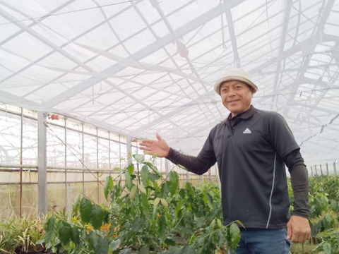 五稜珈琲　50ｇ×3袋