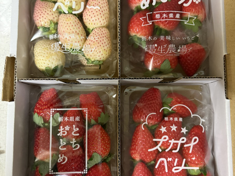 【いちご食べ比べ】4種食べ比べレギュラーパック280ｇ4パック フレーズの4種食べ比べセット』フレーズのこだわりいちご(4種各1
