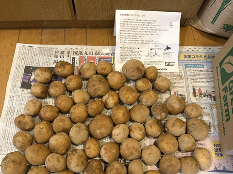 ホックホクであま～い！！人気のキタアカリＢ品（約５kg）