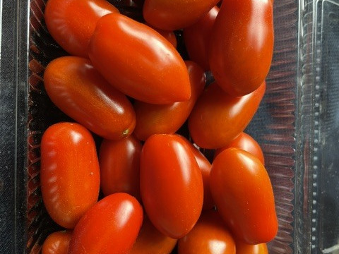お米3kgと極トマト3＆にんにく・季節野菜セット：秋田県産の野菜
