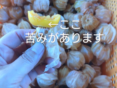 芳醇な香り♪フルーツほおづき　300g（24粒～30粒）