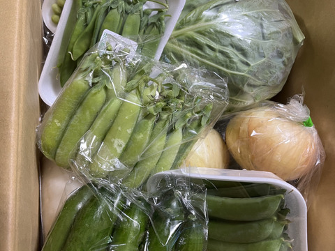 定期便設定（お届け日は２～３日前後します）【たっぷりいろいろ　２０００円セット】農家人が選ぶ旬野菜のおまかせセットです。季節ごとの旬の世界農業遺産ブランド野菜を厳選してお届け致します。