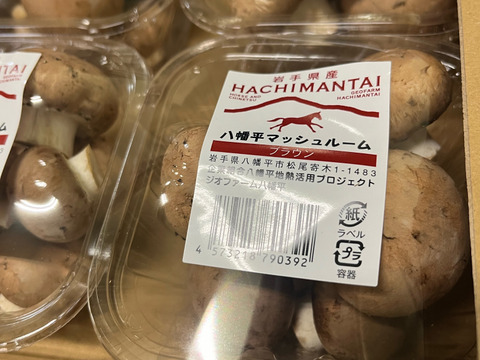 料理王国100選2024"優秀賞"に選出★【八幡平マッシュルーム ブラウン】 12パック