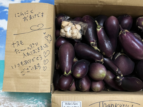 オーガニック加茂ナス・真黒茄子おまかせMIX🍆 5kg Organic