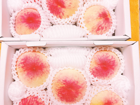 【２箱セット】【家庭用】夏を先取り！６月下旬～７月中旬の岡山の桃　小箱４～６玉