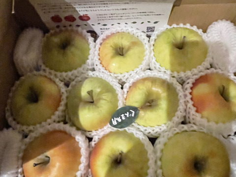 【冬ギフト】🍎『希少！』ぐんま名月🍎約3キロ8〜11玉(家庭用)ID177902