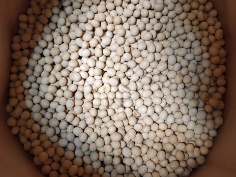 【自然栽培】ホクホク甘い大豆　18kg