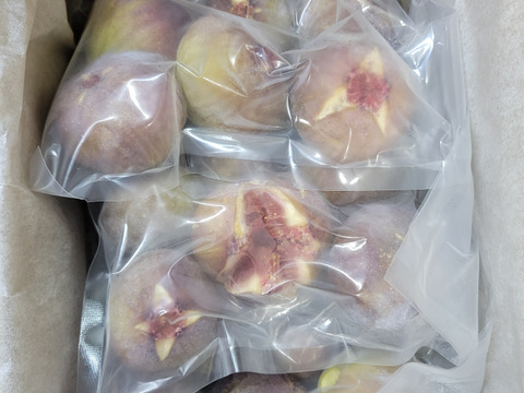 規格外や小傷　約1.5キロ　ゴロッと！　冷凍いちじく　蓬莱　福岡県産