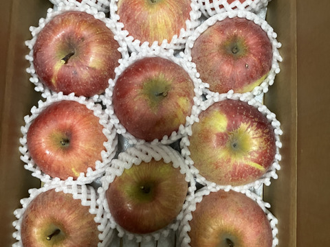 豊作還元セール！！家庭用サンふじ　約3kg