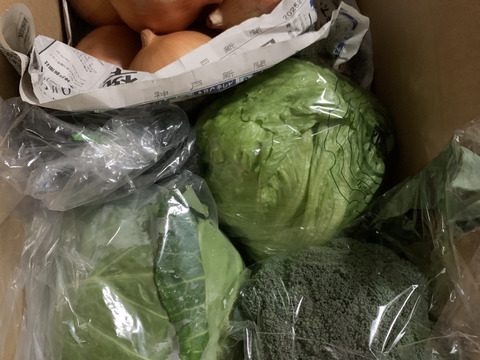 大好評，地層が違う淡路島、大玉ターザン(風袋込み5キロ)