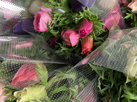 《アネモネ》12本束2セット
10日間の日持ちは当たり前💐