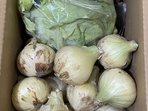 《数量限定》【淡路島産】昨年大好評の 極早生新玉ねぎ 3kgと春キャベツ詰め合わせ