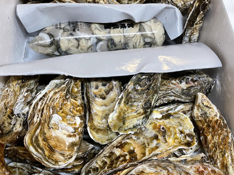 【セット品で5kg】 剥き身500g+殻付き牡蠣普通サイズ 2.5kg（目安23個）+小さめ殻付き牡蠣SSサイズ2kg（目安40個）松島牡蠣屋 生牡蠣 生食