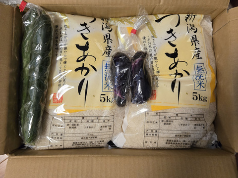 新潟県産 つきあかり 10キロ 無洗米 令和6年産 (tukiakari-10kg