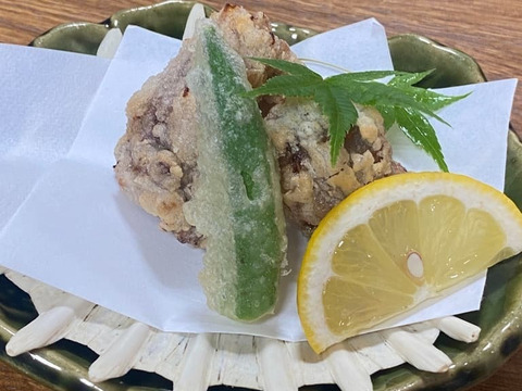 誰でもたべやすい！すっぽん唐揚げ（４個入り）