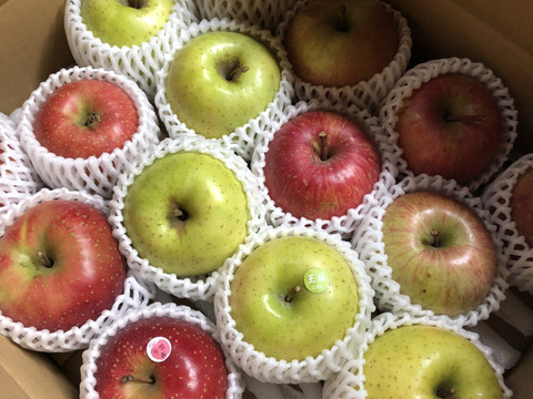 旬の3品種🍎おまかせりんご5kg🍏家庭用 詰め合わせ 低農薬 特別栽培認証取得【りんご食べ比べ】