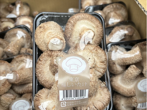 大田区で収穫！東京福しいたけ(500g・パック包装)
